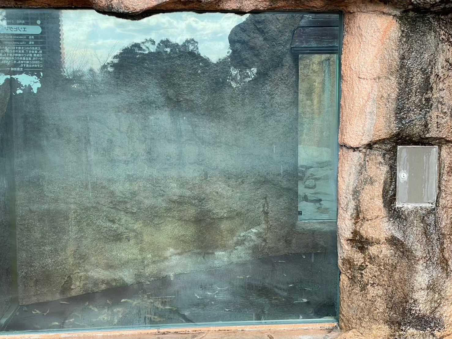 ガラス酸焼け修復施工前 動物園