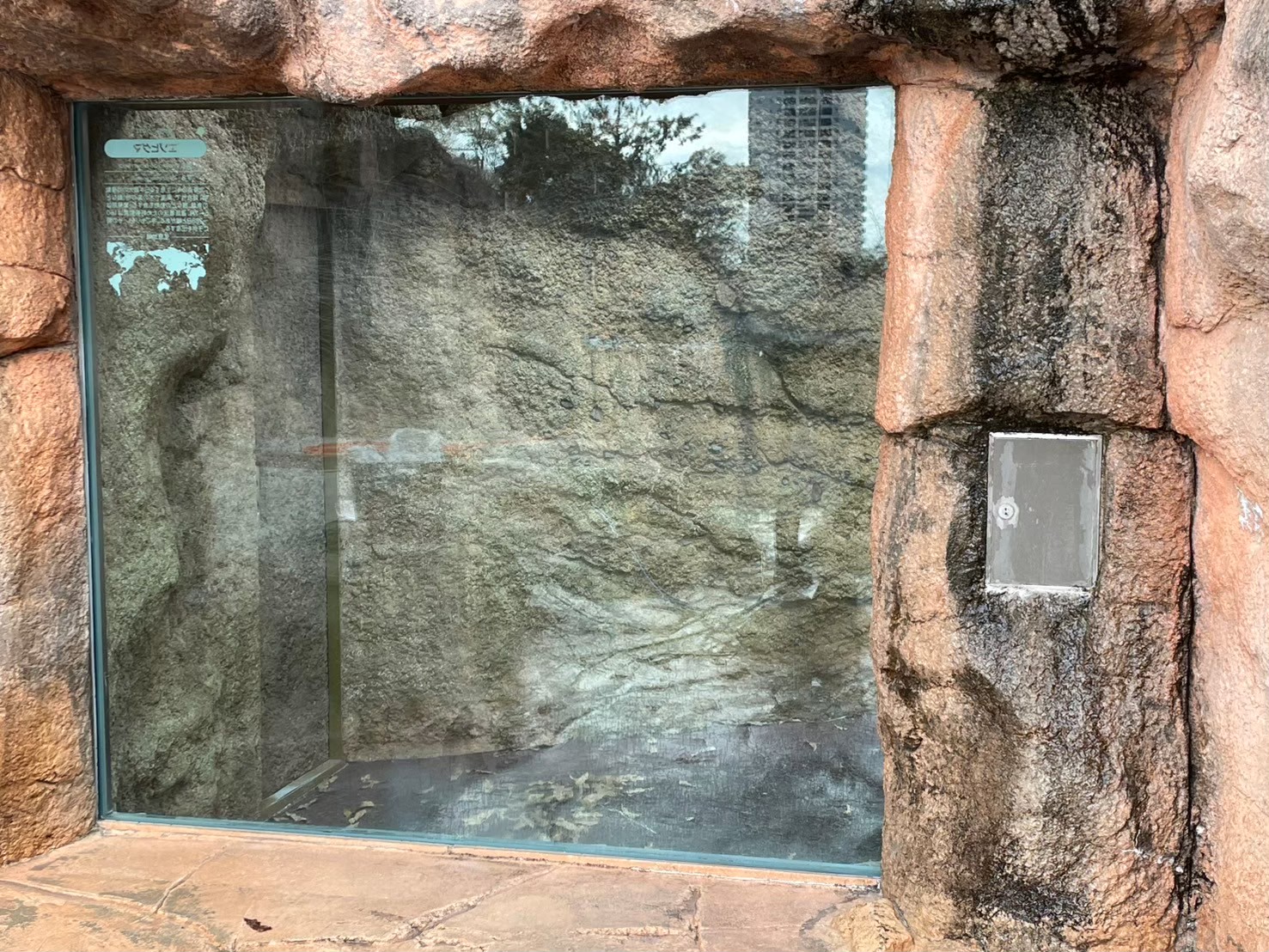 ガラス酸焼け修復施工後 動物園