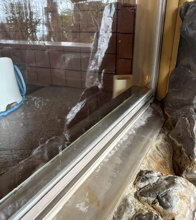 ガラス水垢除去施工後 温浴施設