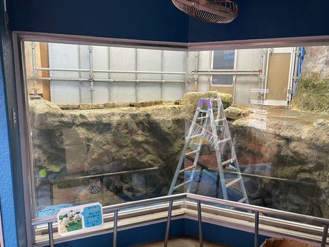 研磨再生施工事例