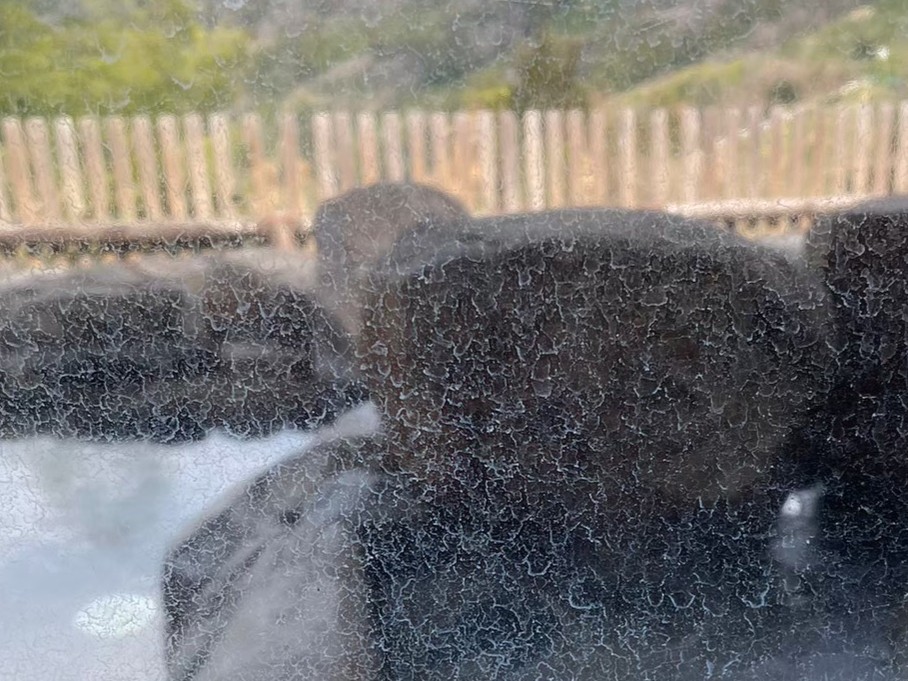 ガラスに付着した水垢（ウロコ）