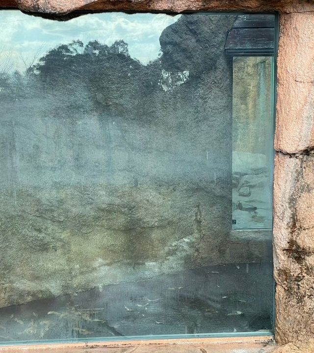 ガラス酸焼け修復施工前 動物園