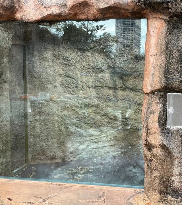 ガラス酸焼け修復施工後 動物園